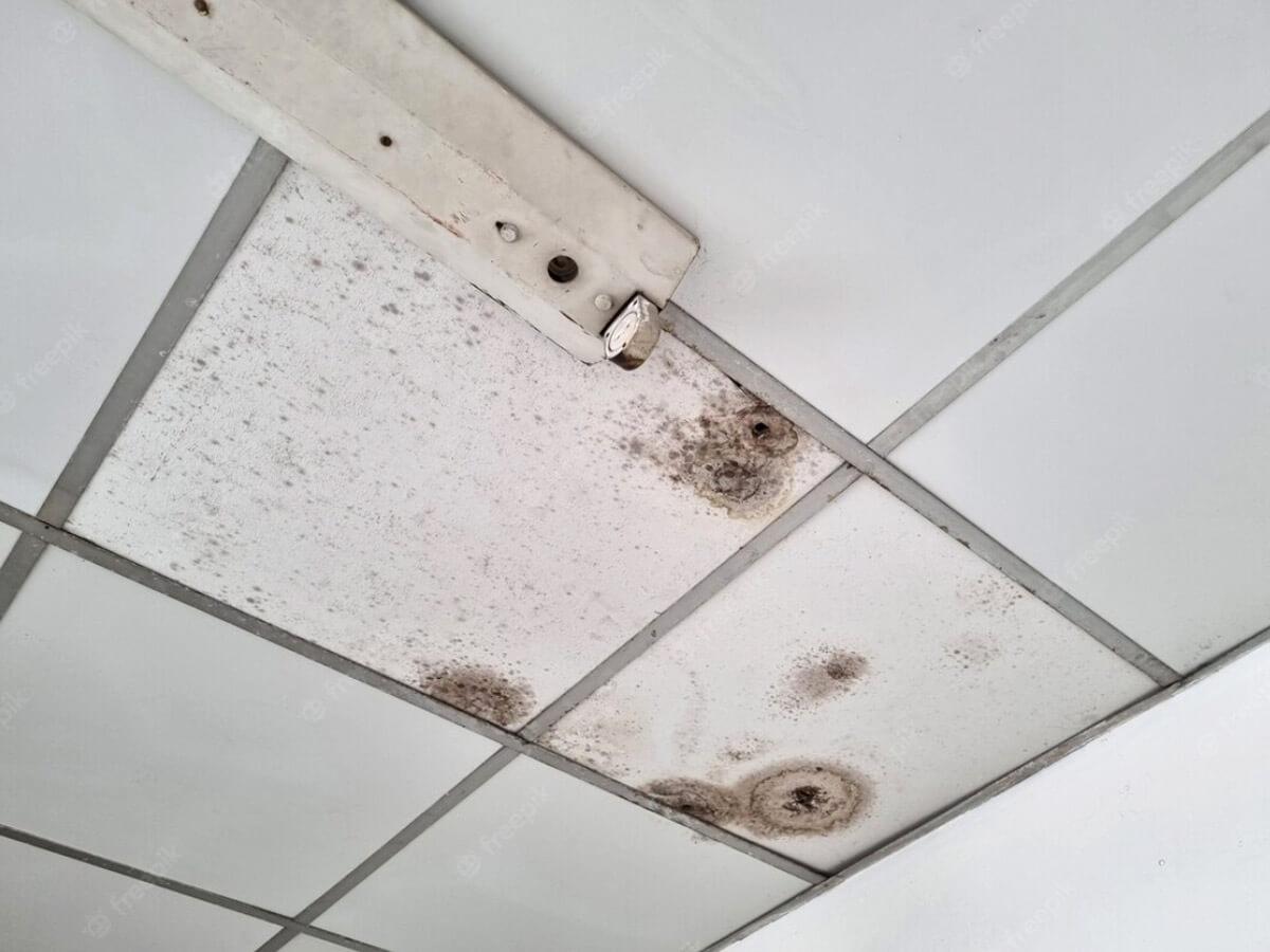 Nano-G's mould spots & discoloration on ceiling