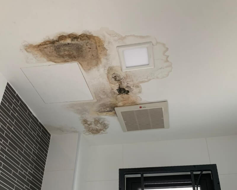 Bathroom tiles with mold growth, highlighting the importance of Nano-G hospital-grade waterproofing solution.