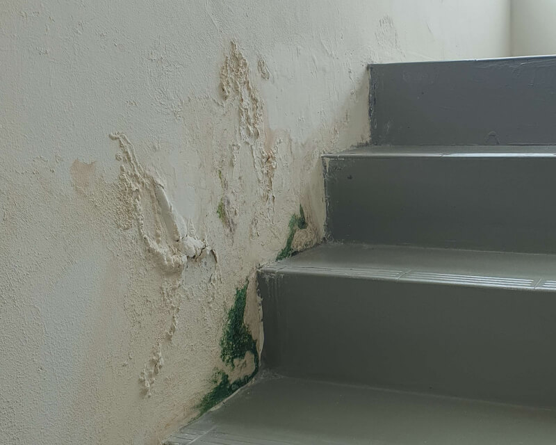 Water damage and mold growth on a wall near a staircase, documented by Nano-G.